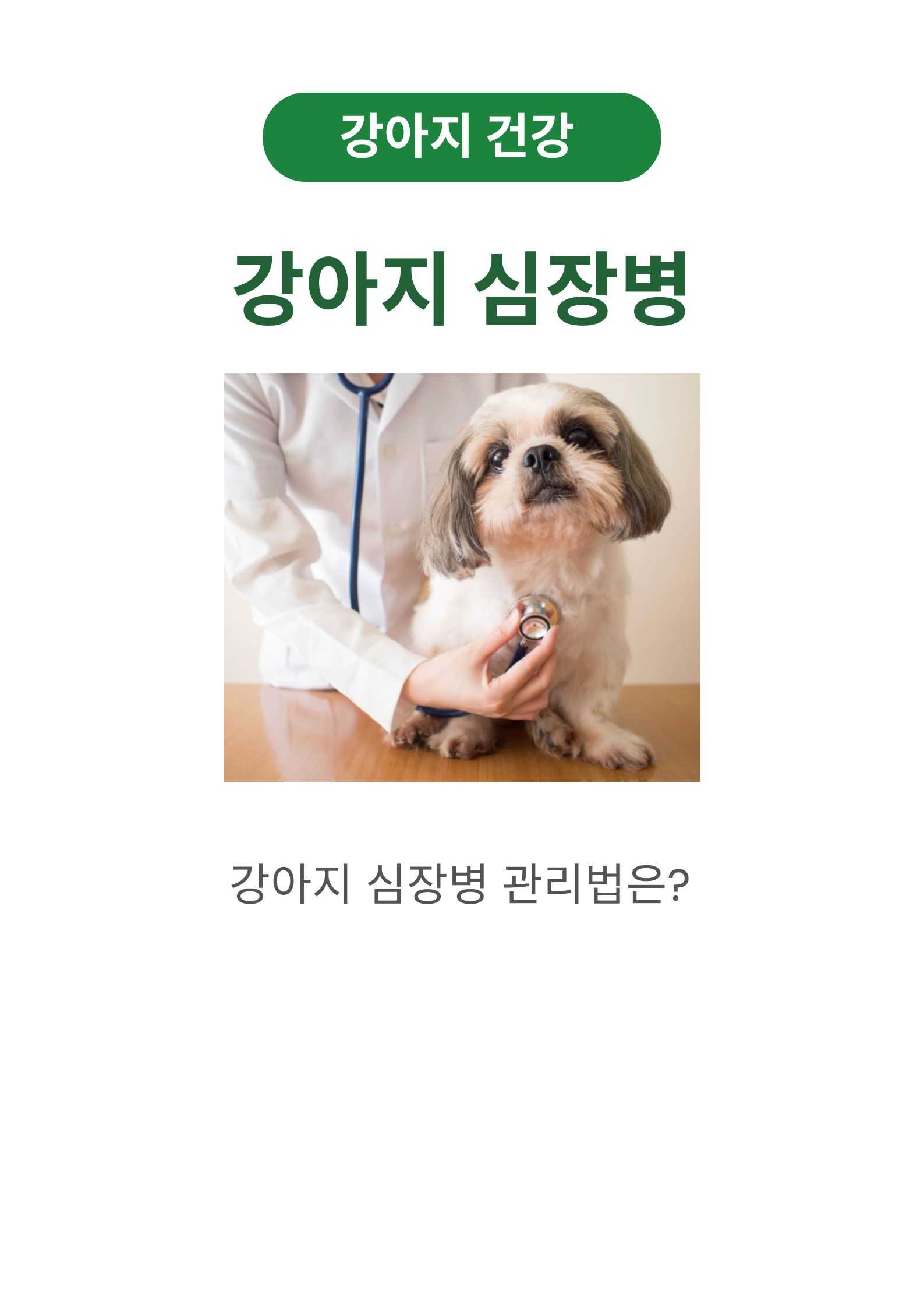 강아지 심장병 증상, 원인 및 치료법 그리고 예방법 (feat. 수의사가 추천하는 심장관리법)