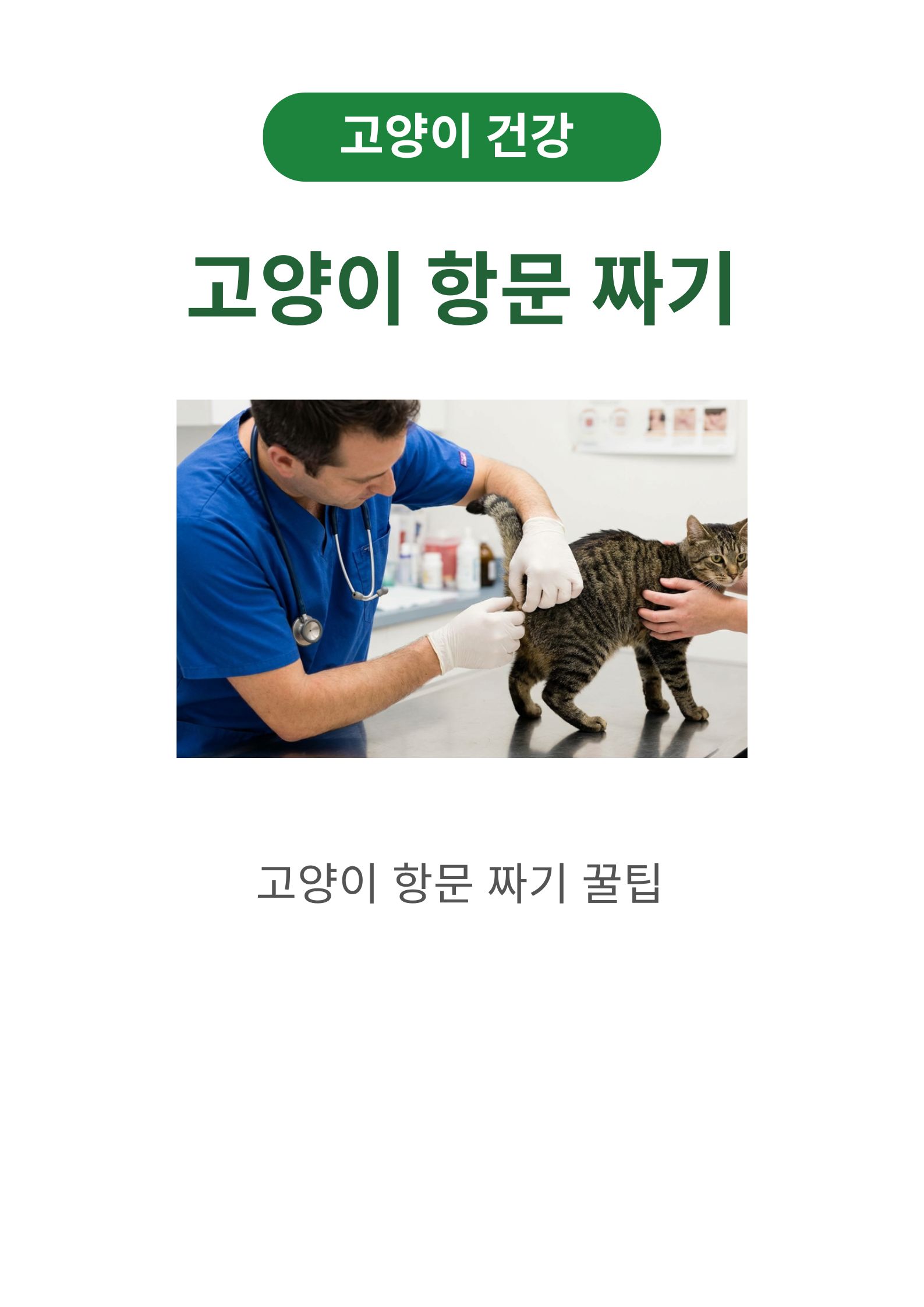 고양이 항문낭 짜기