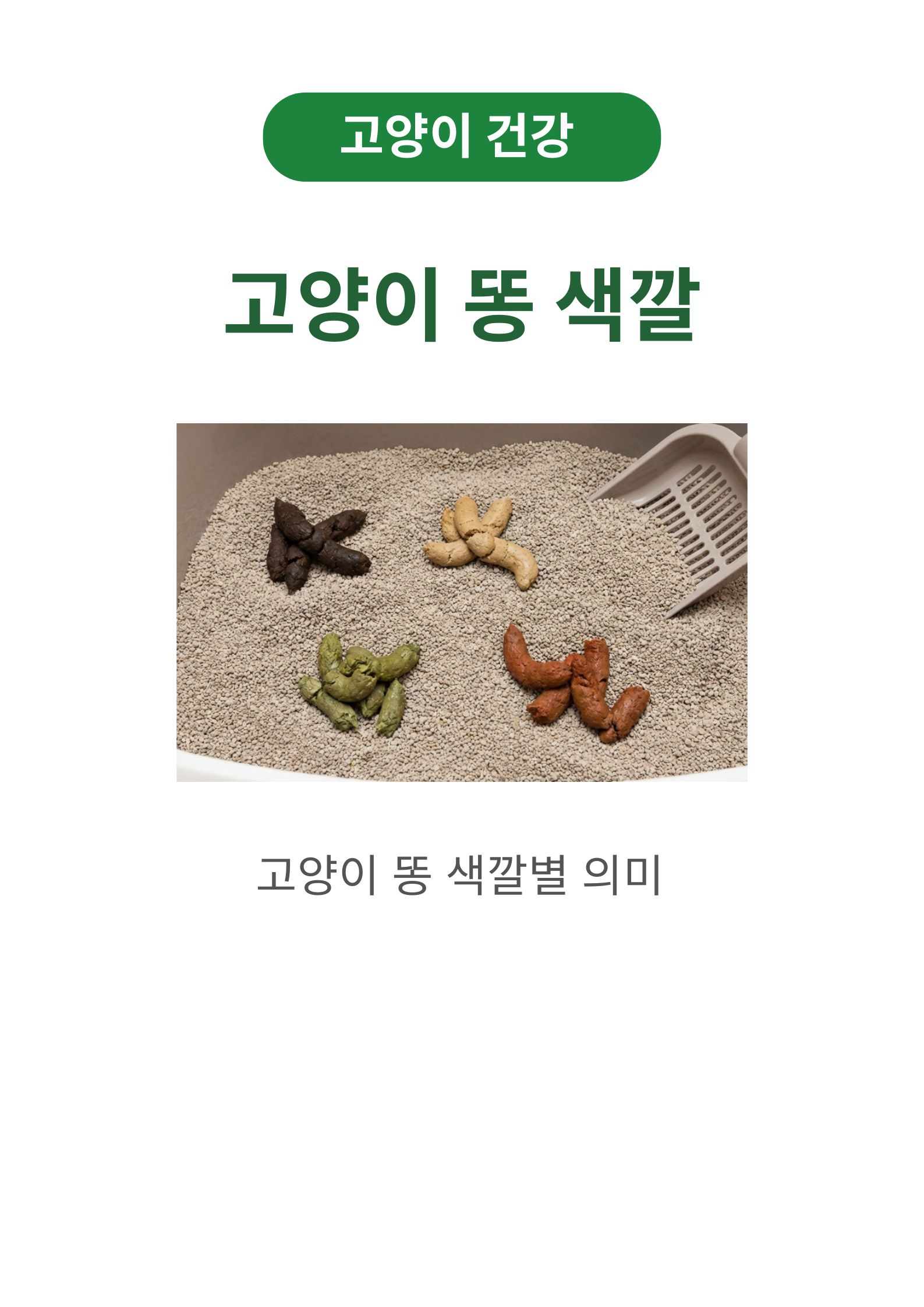 고양이 똥 색깔