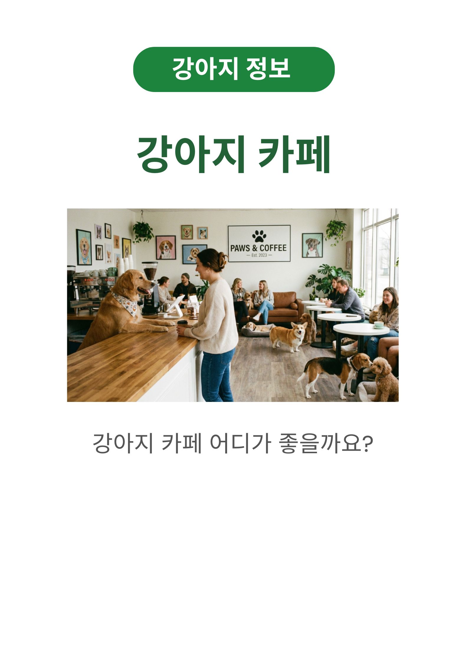 2026년도 서울 강아지 카페 추천 (강남, 잠실, 홍대, 혜화 근방)