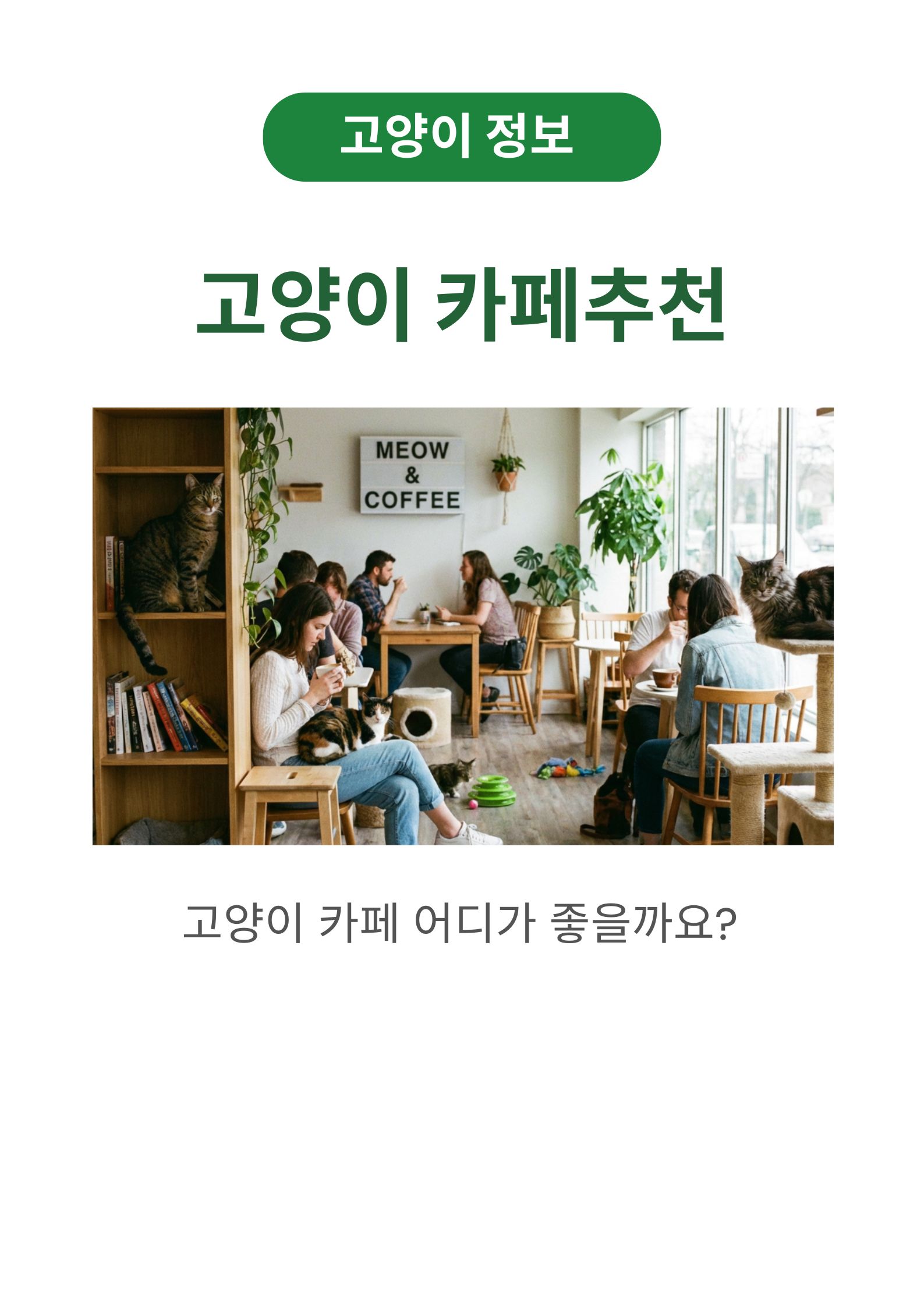 강남역 고양이 카페 추천