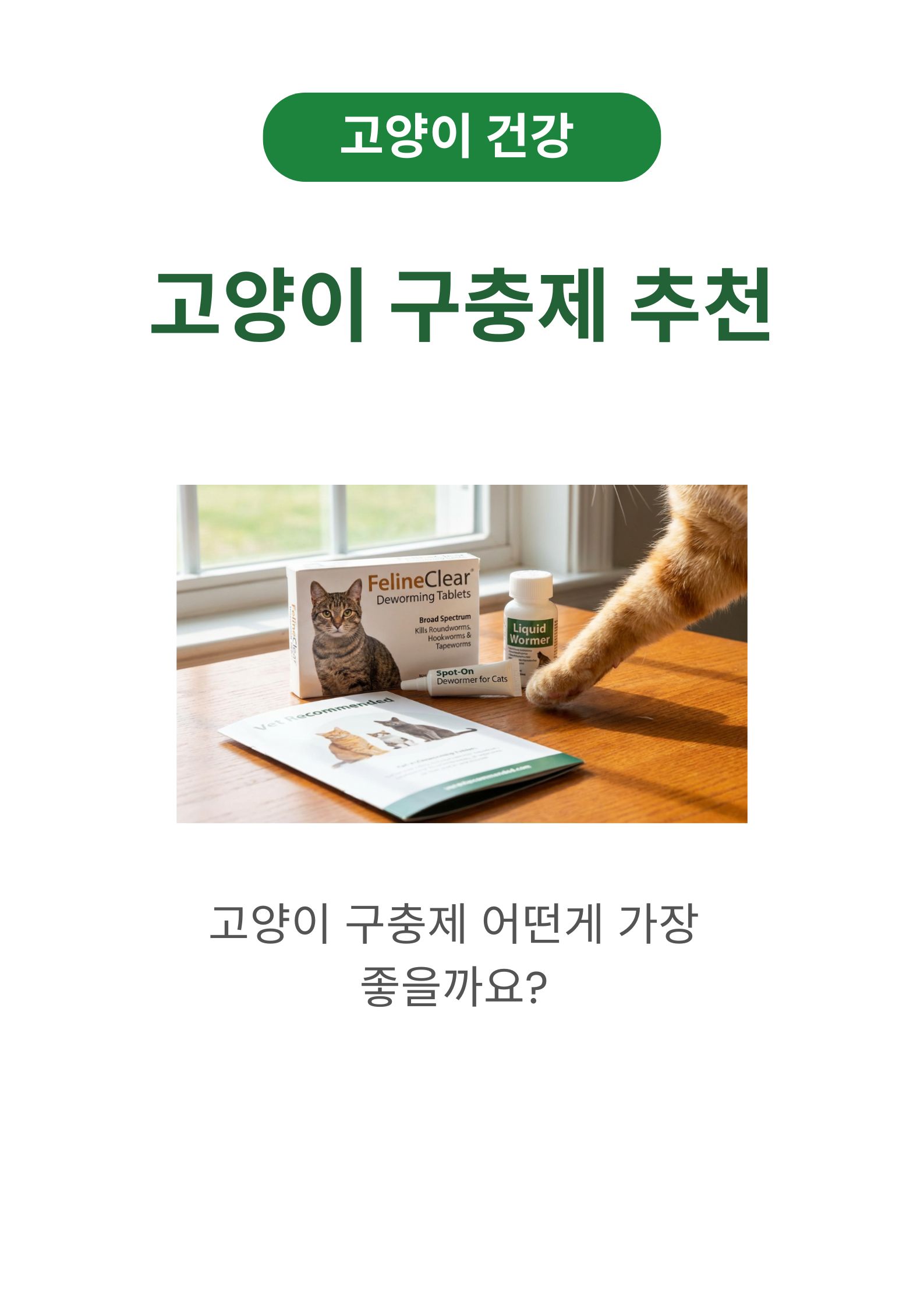 고양이 구충제