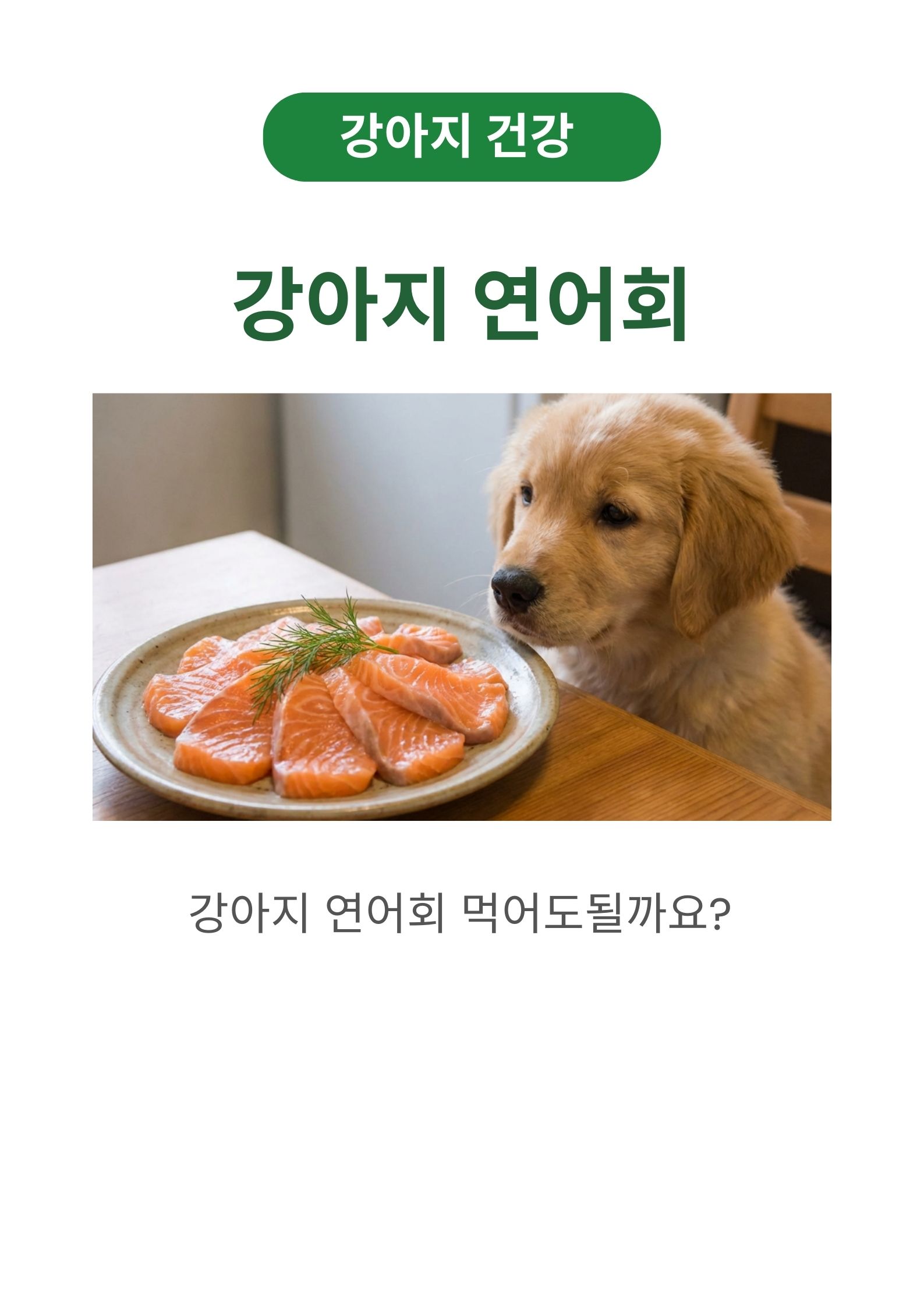 강아지 연어회 먹어도 될까요? 수의사가 알려주는 100% 안전한 음식